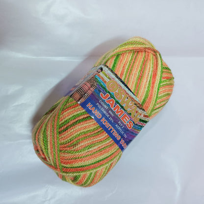 Oswal Micro Shine Wool Yarn – 100gms Multi  Colour