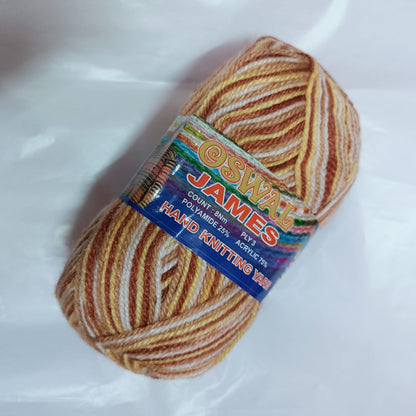 Oswal Micro Shine Wool Yarn – 100gms brown multi Colour